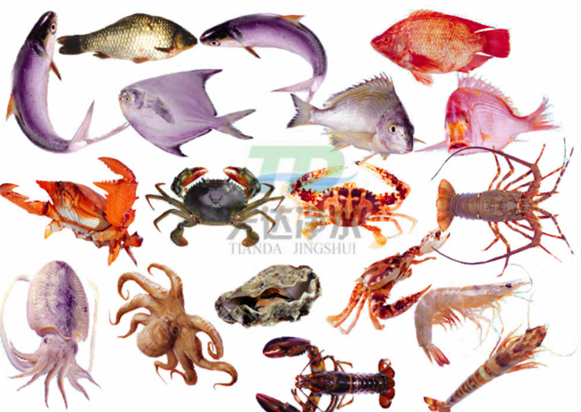 ˮ�a(ch��n)�B(y��ng)ֳ�Uˮԓ���̎��